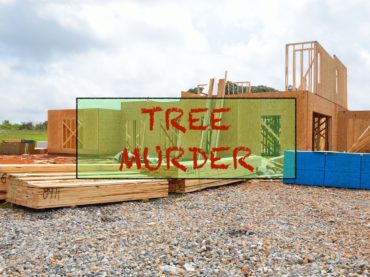 Building Houses Out of Wood Declared “Tree Murder”